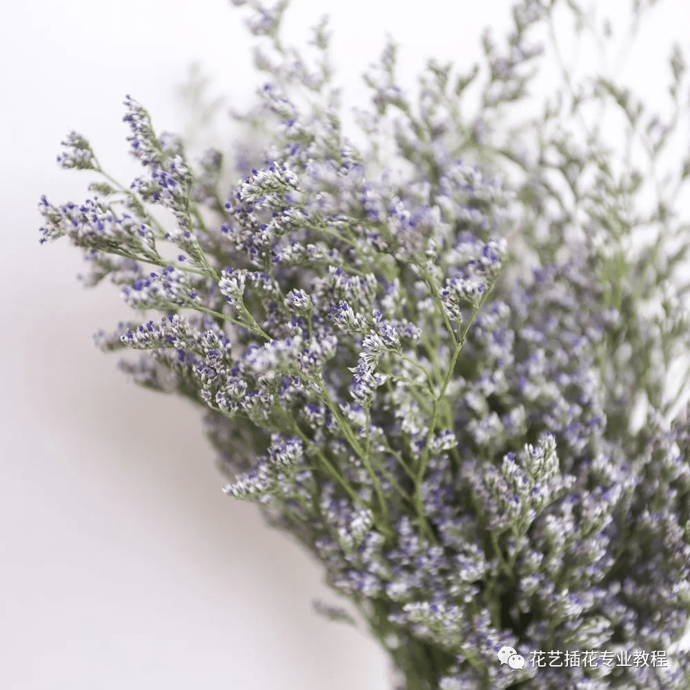 花艺培训学习|有了这些配花,让你作品的仙气值up!up!