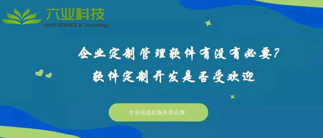 软件系统开发定制(软件系统app定制开发)