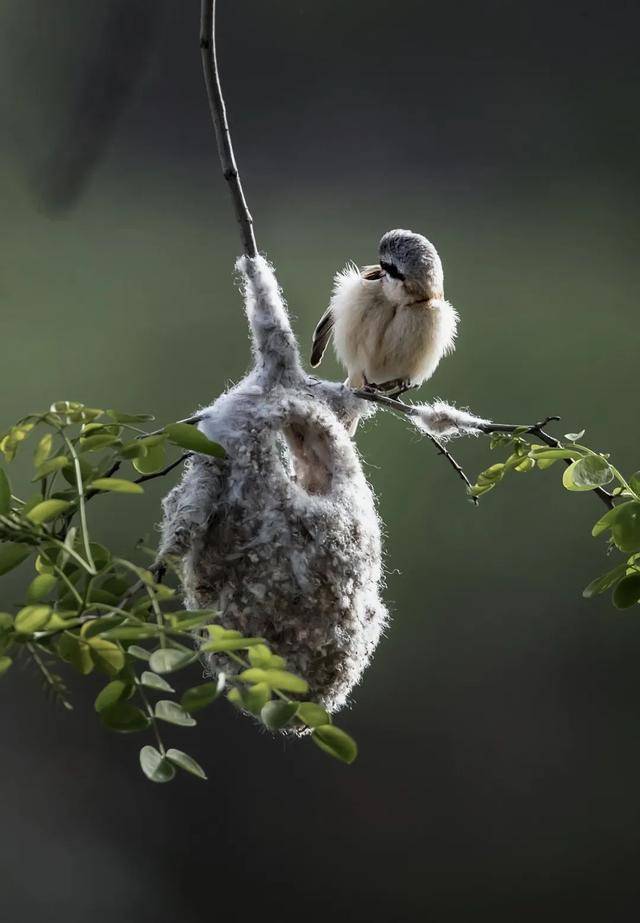 全国摄影师优秀作品精选