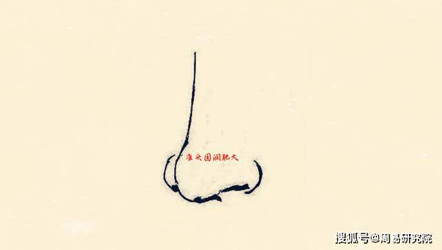 如果鼻梁的中间部位骨节较为突出,看上去就像竹节一样的话,这种鼻相的