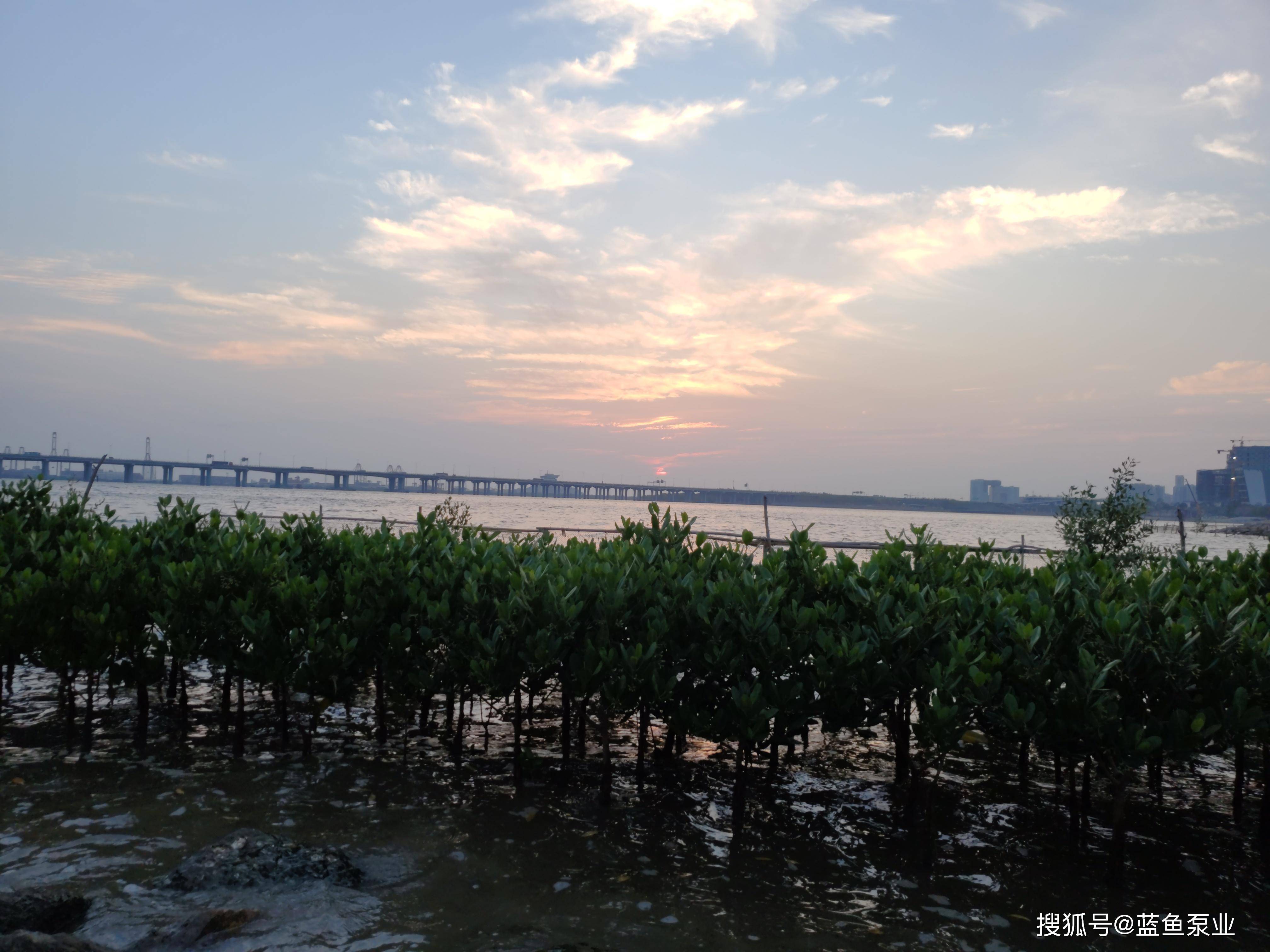 深圳前海湾公园日落美景-搜狐大视野-搜狐新闻
