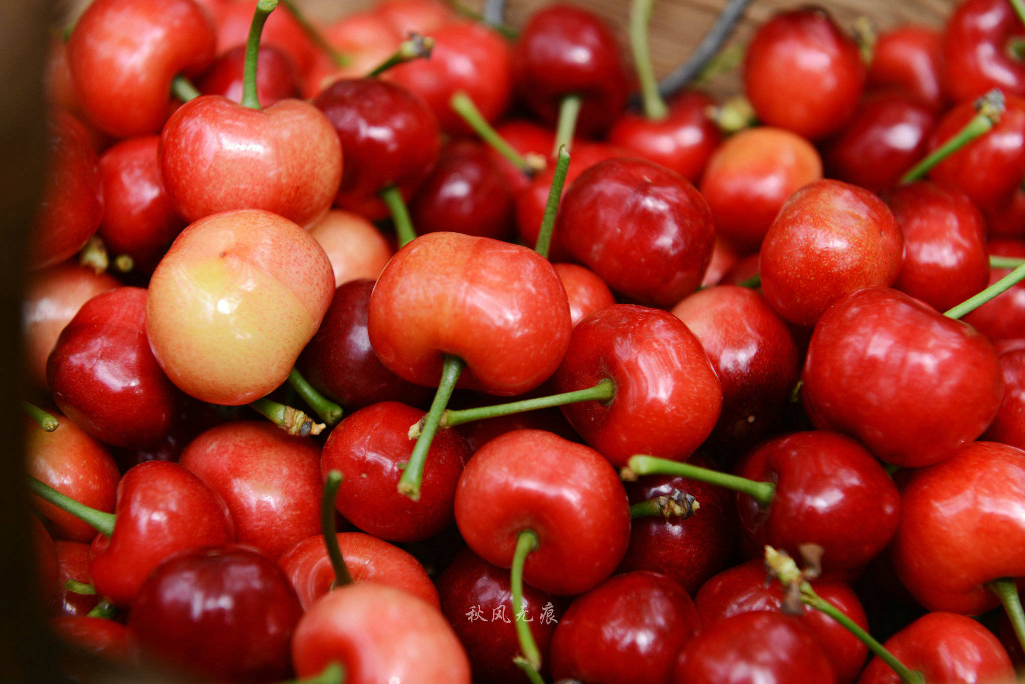 红红樱桃民国风情老街给了狄寨白鹿原的夏日味道