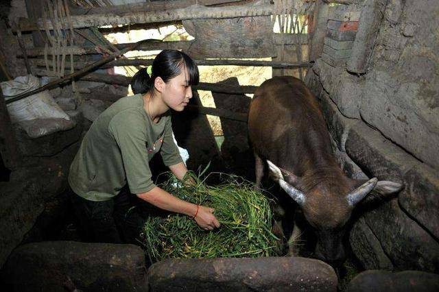 原创农村留守妇女形同守寡,此现象越来越严重,真的放心吗?