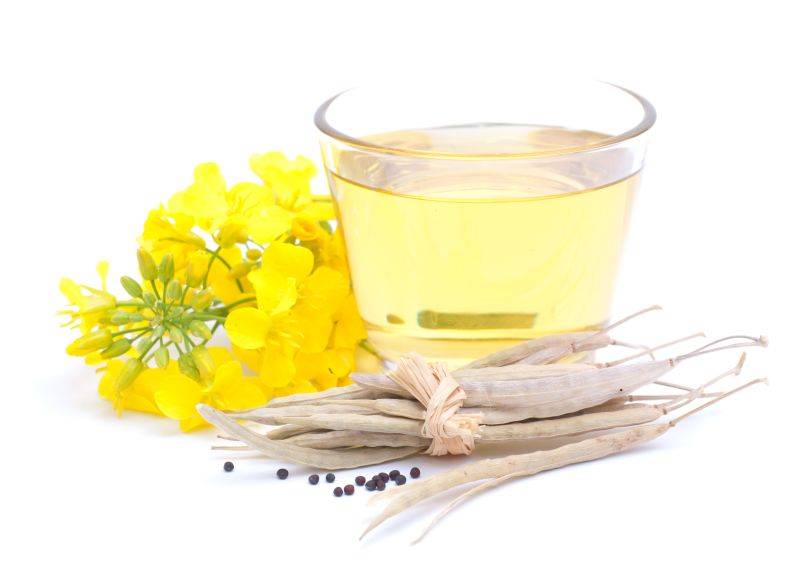 低芥酸菜籽油可完胜传统菜籽油传统菜籽油还能吃吗