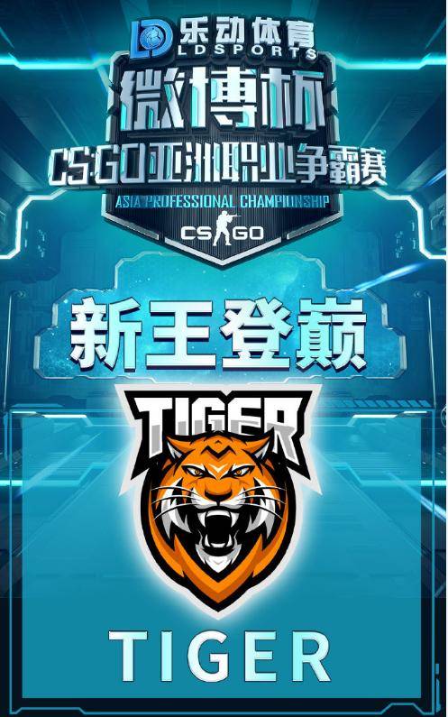 Tiger战队图片