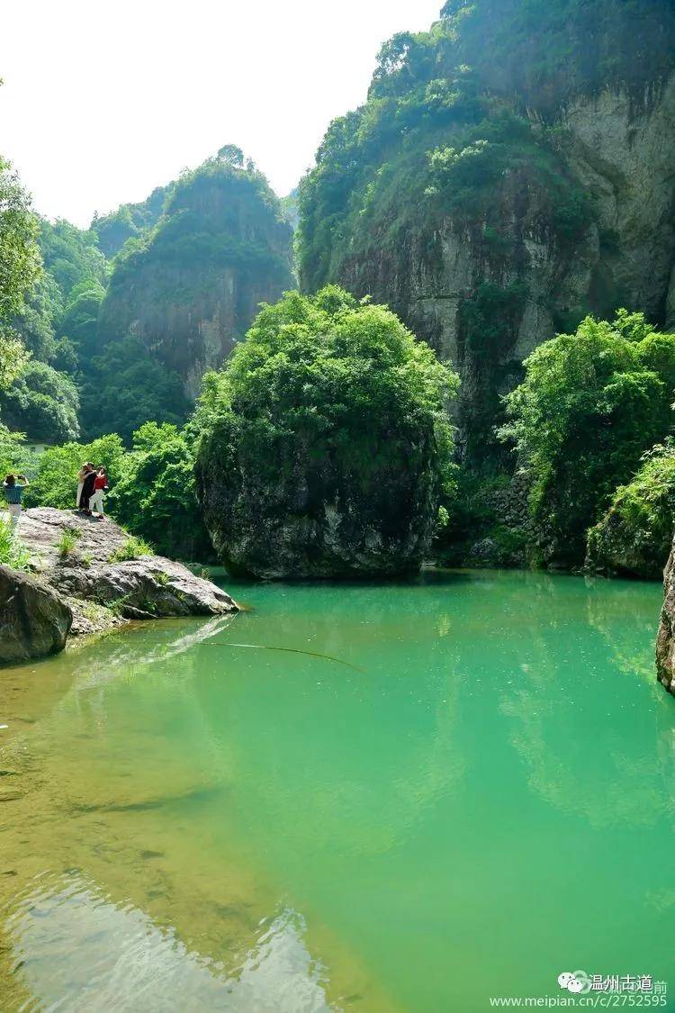 灵运仙境桐油花乡愁美景古道行