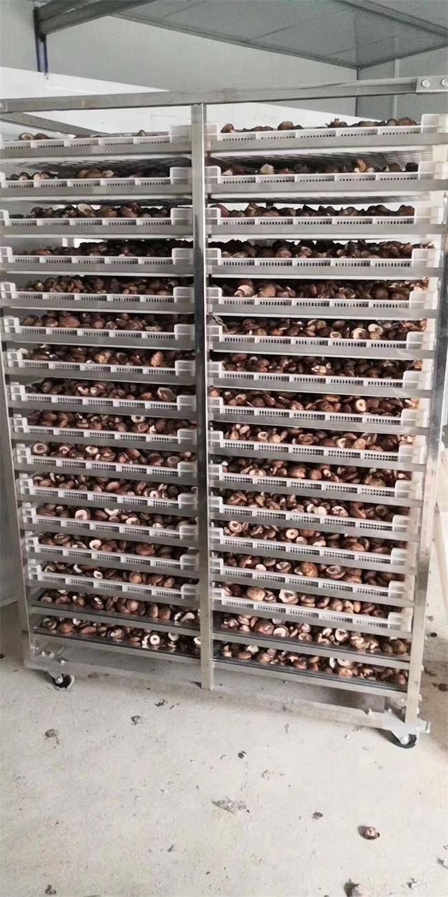 不懂香菇干燥就用香菇烘干机