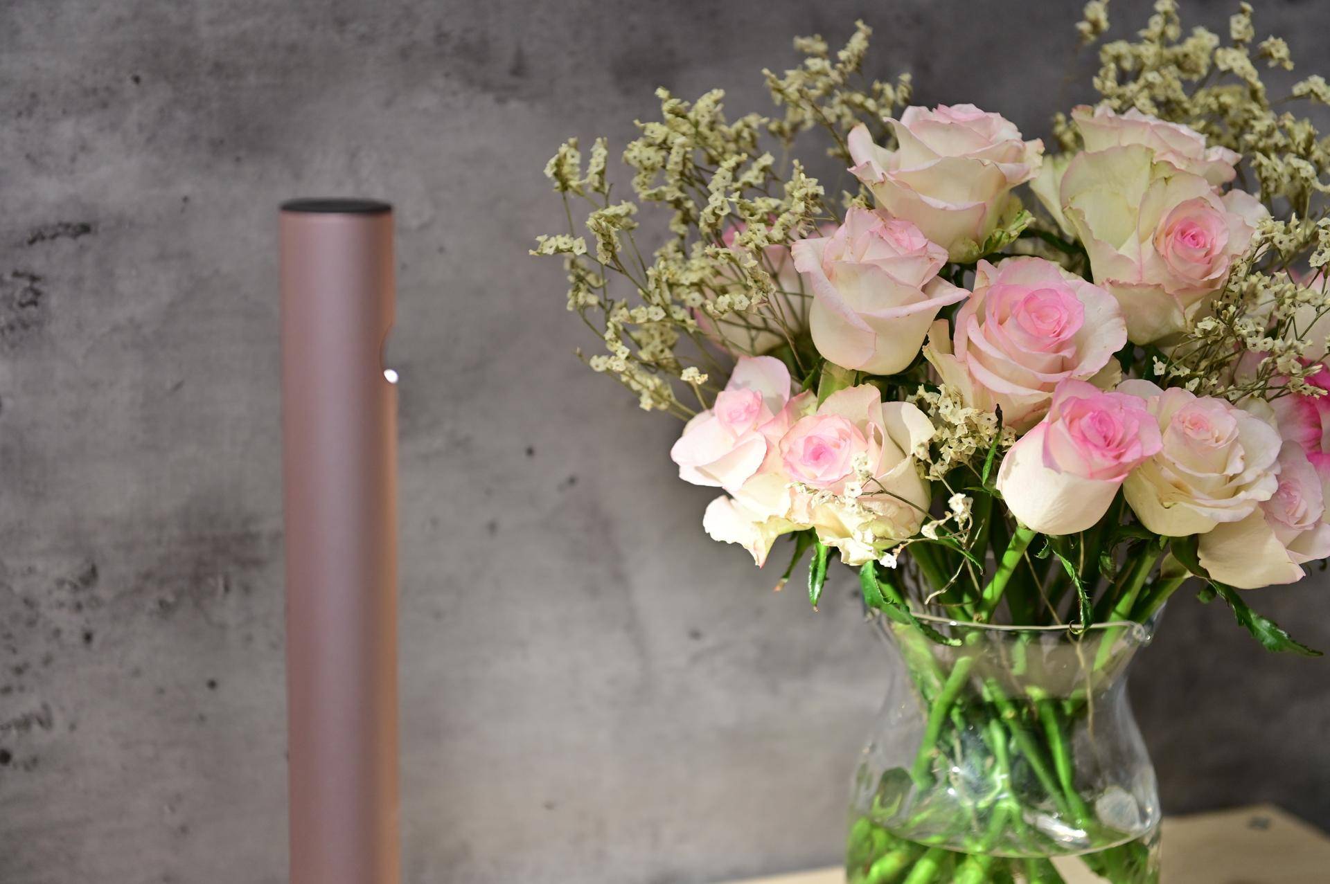 onemorelightjya新光台灯智能版