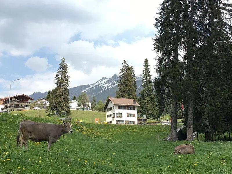 养老寰宇 | 退休移居不需要砸大笔老本我们参考瑞士"照护农场"计划