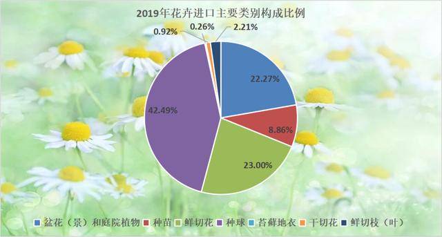 2019年中国花卉出口总额上升，进口额10年来首次下降