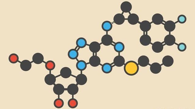 学习这种思维方式:聚合思维让你更科学地认识事物的