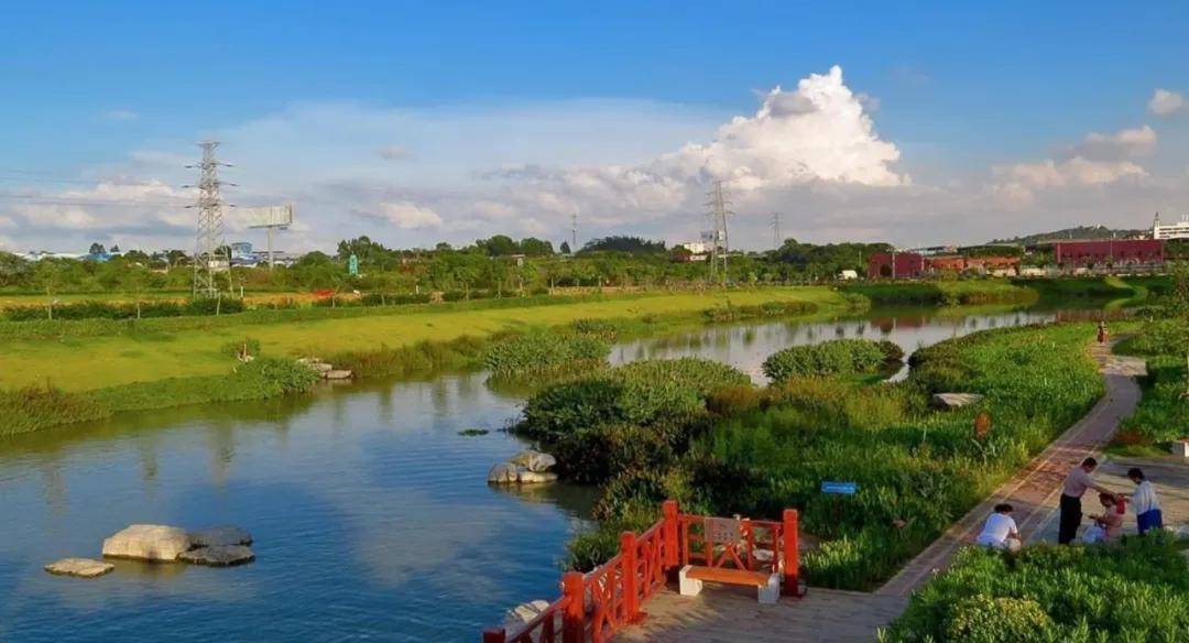 迪威国际-19188356969