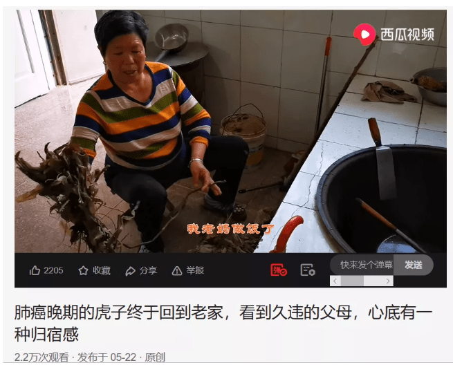 原创虎子的后半生是真的吗 卖惨的背后是人性的扭曲