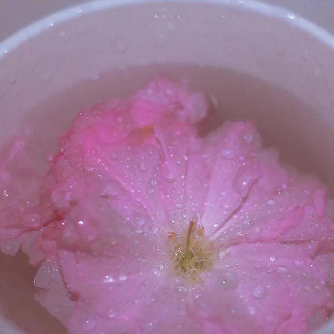 图片[17] - 【xizi被窝段子20200529】生活是苦难的 我又划着断桨出发 - xizi