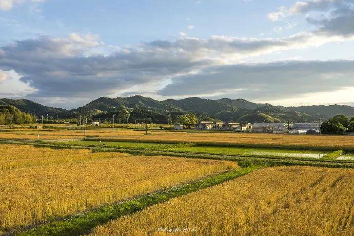 图片[11] - 【xizi被窝段子20200529】生活是苦难的 我又划着断桨出发 - xizi