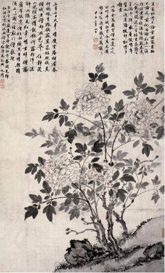 沈周徐渭李苦禅蔡茂友历代名家水墨牡丹作品欣赏