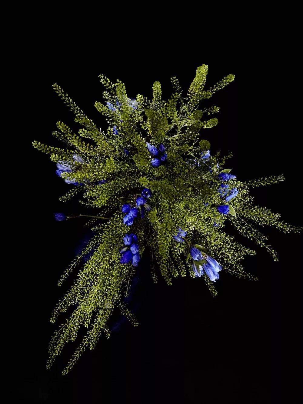 灵感花flowerydeinspirationtimeno23