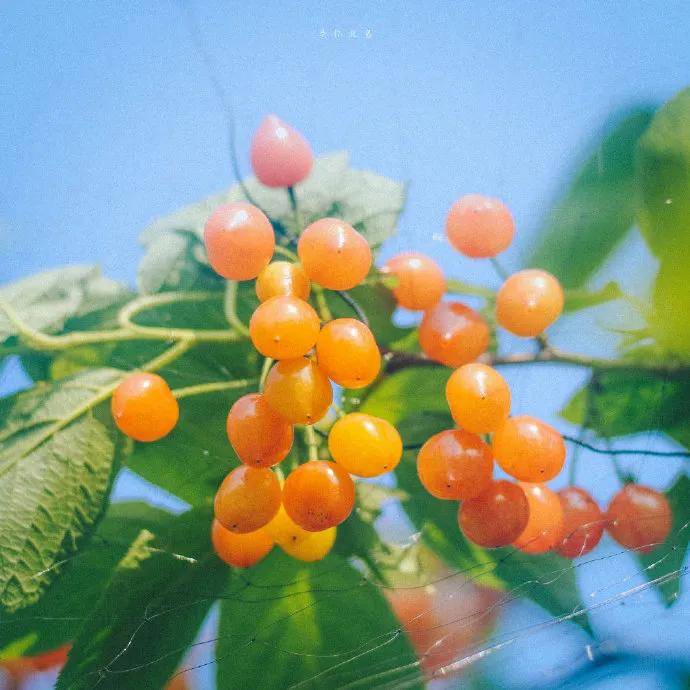 图片[14] - 【xizi被窝段子20200529】生活是苦难的 我又划着断桨出发 - xizi