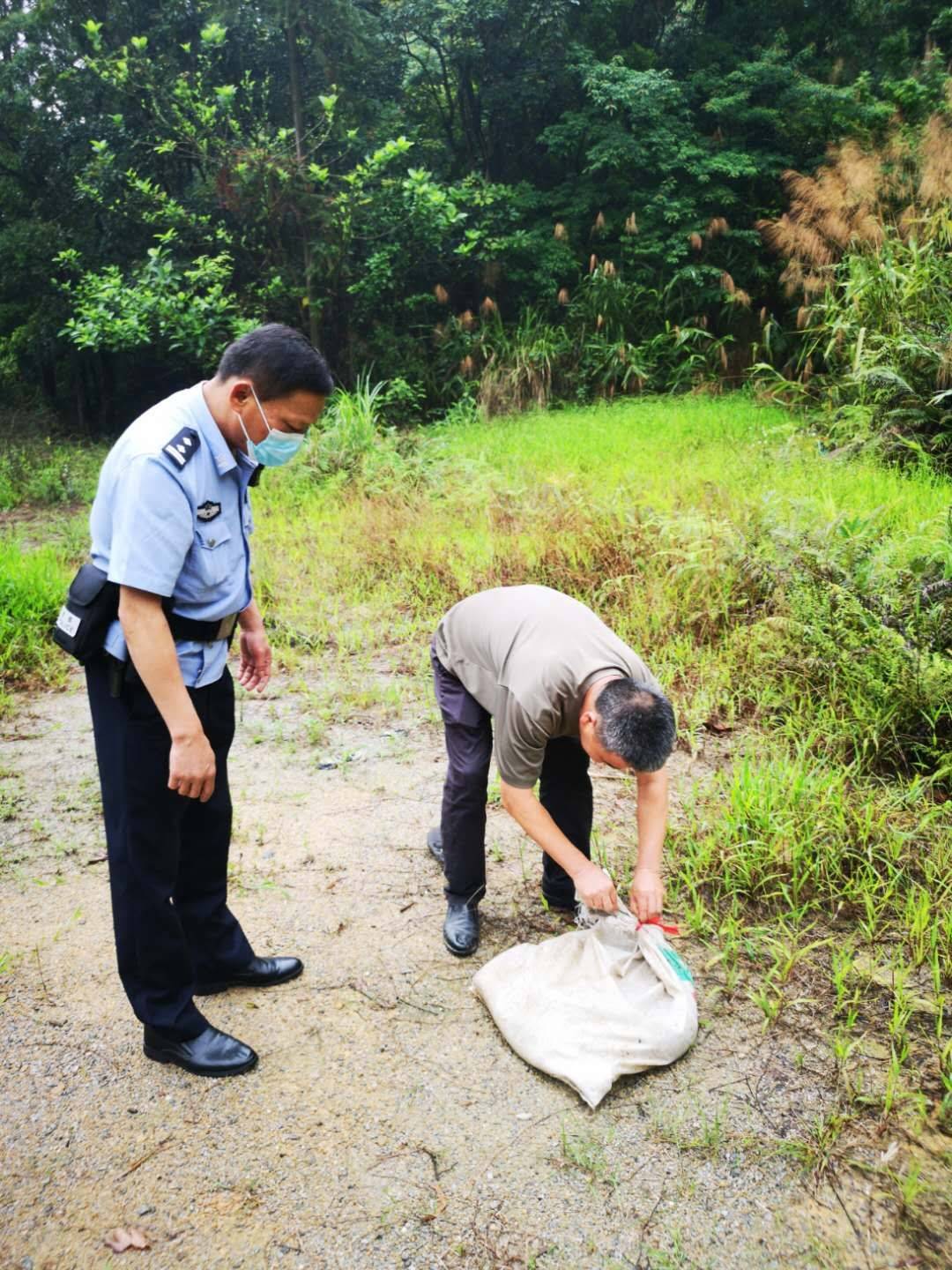 驚險!蟒蛇進村民家偷雞吃 駐村民警火速設法捕蛇