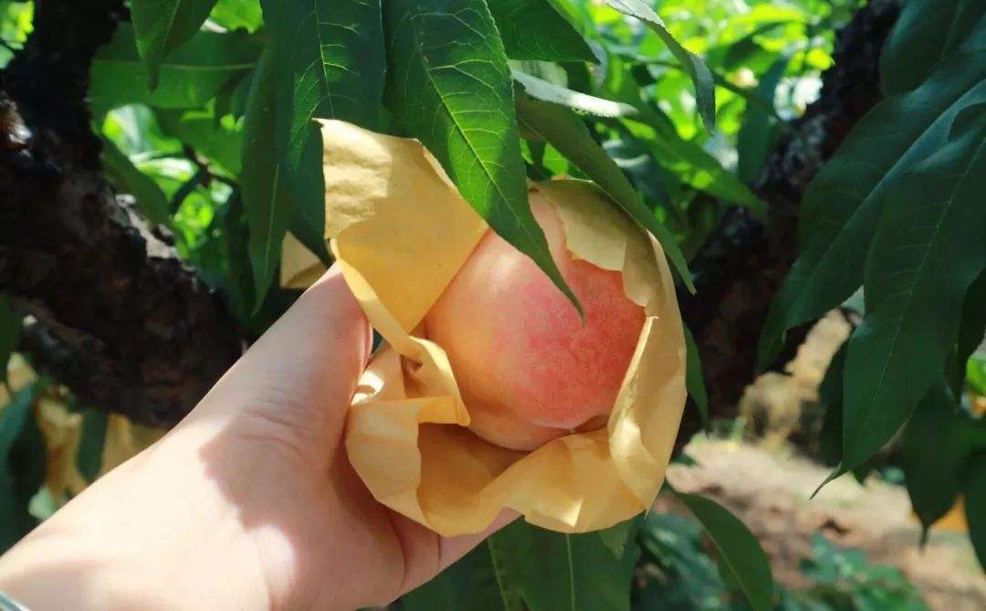 来自搜狐网