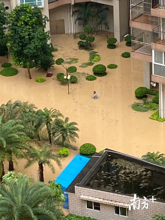 【聚焦】暴雨围城下的广州楼盘,被淹车主应如何维权