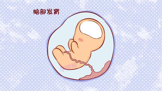 原創孩子10歲前大腦有3次發育高速期抓住1次就易領先起跑線