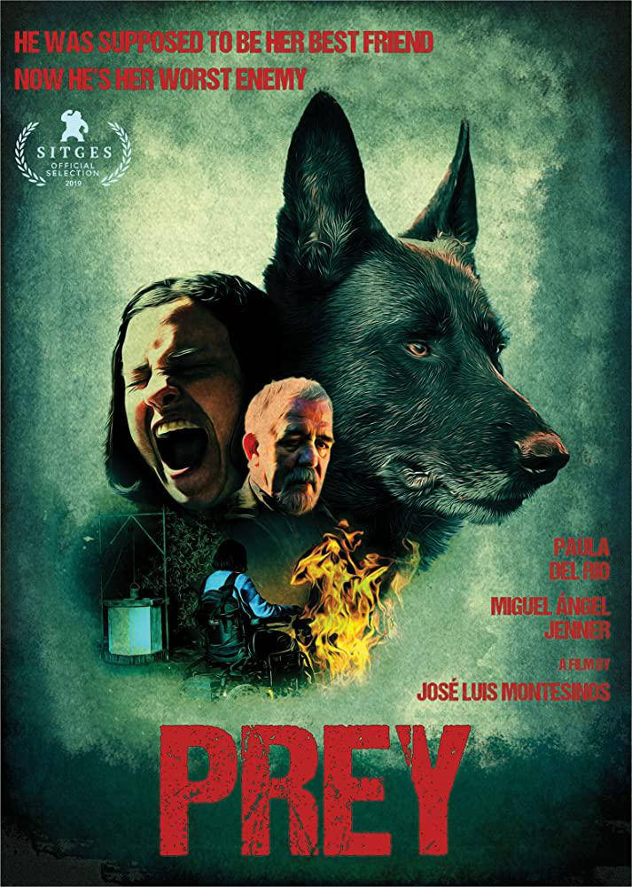 《夺魂索》影评:当忠实的好狗狗变成最恐怖恶梦