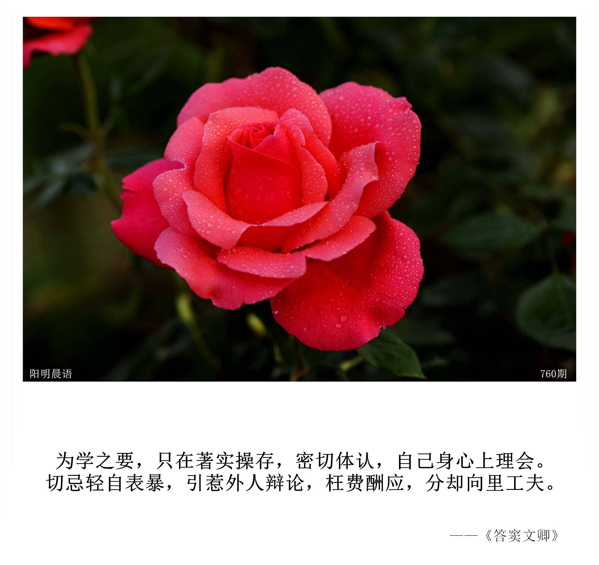 阳明晨语第759-760期