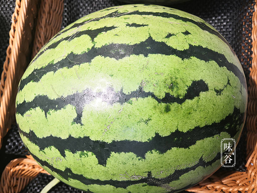 原创买西瓜就得挑"母"的,香甜多汁味道好,牢记这4点,一挑一个准