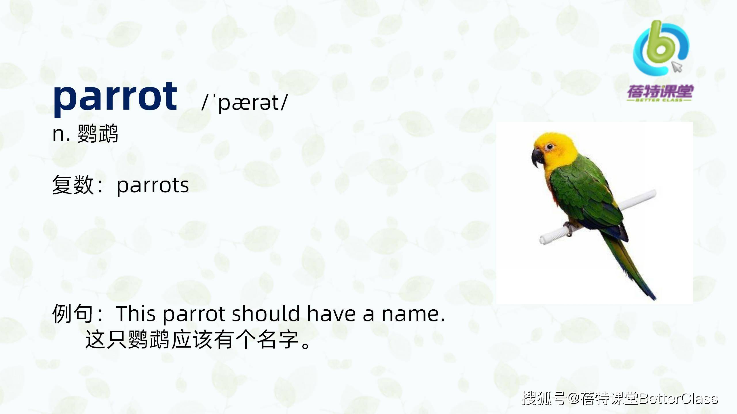 剑桥pet英语辅导培训蓓特课堂21天pet英语核心词汇在线学习day12