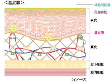 博客搜索_新浪搜索_新浪网