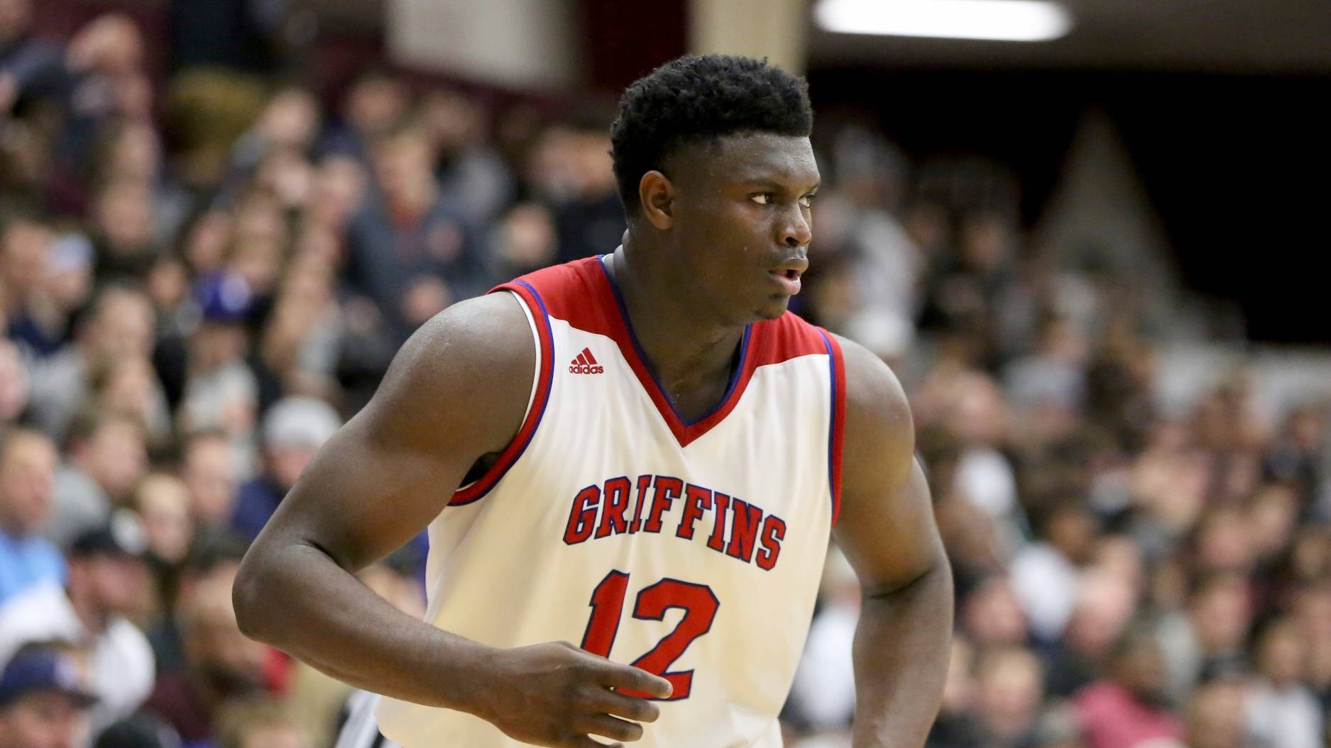 原创史诗级的潜力!锡安的超巨之路有一个很好的开始