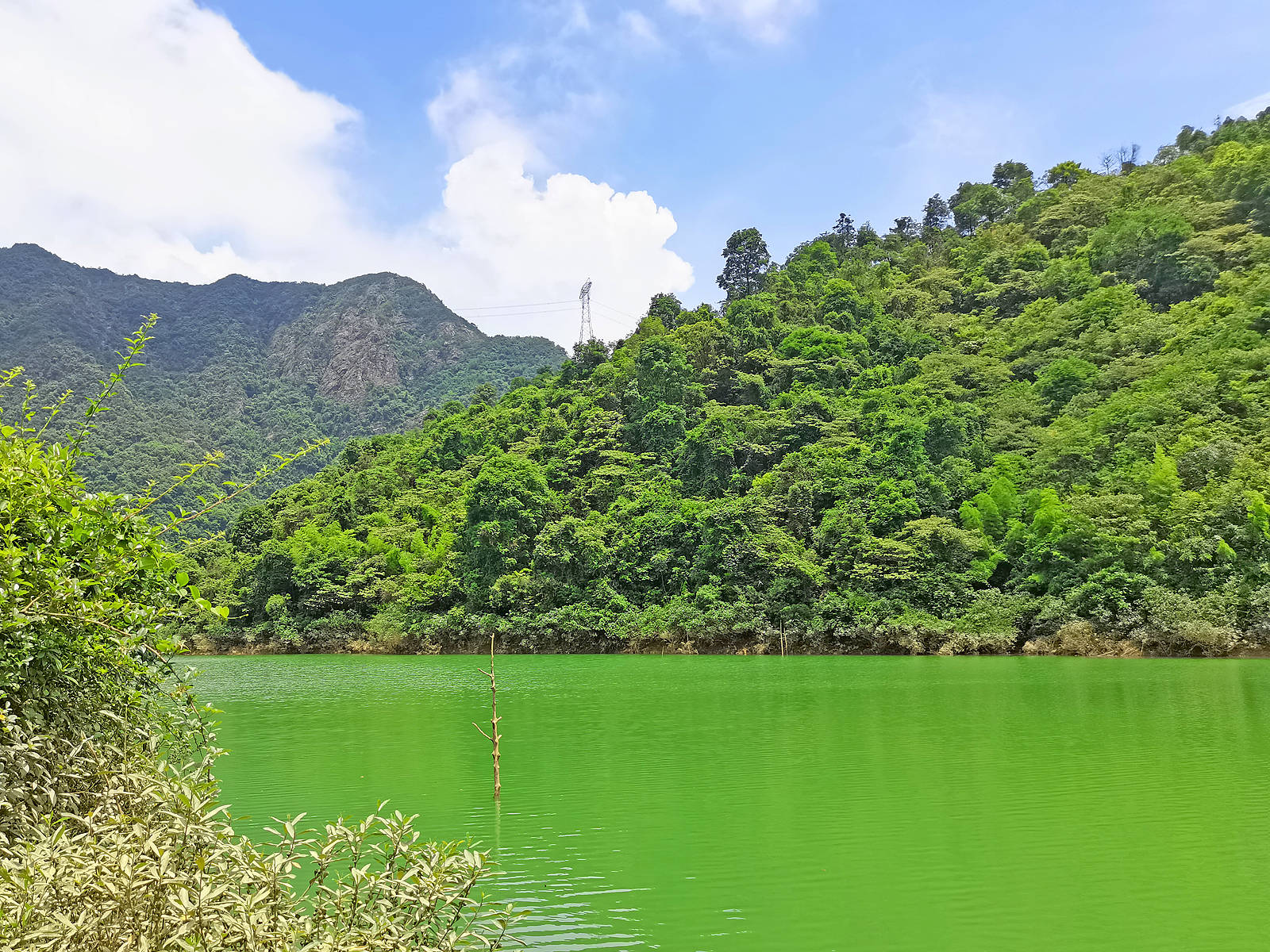 清远极为私密的水库边小营地,风景如画的世外桃源,适合越野自驾露营