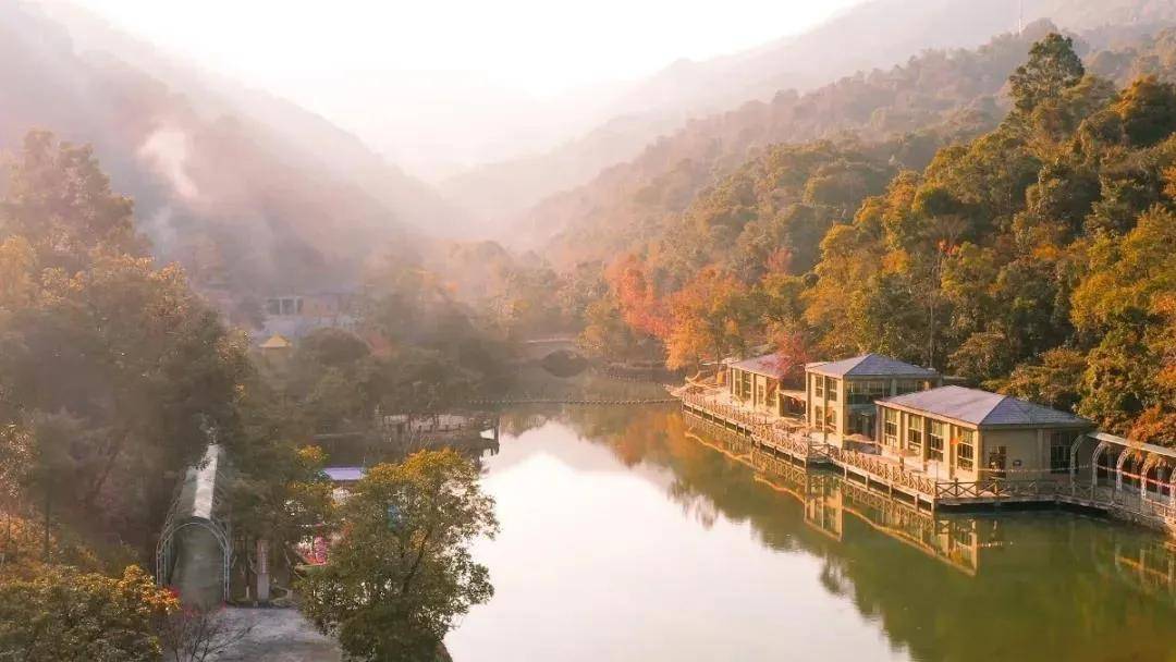 霞,枫景瑰艳漫山点缀的红枫叶惊艳眼眸深处只可叹一句良辰美景不可辜