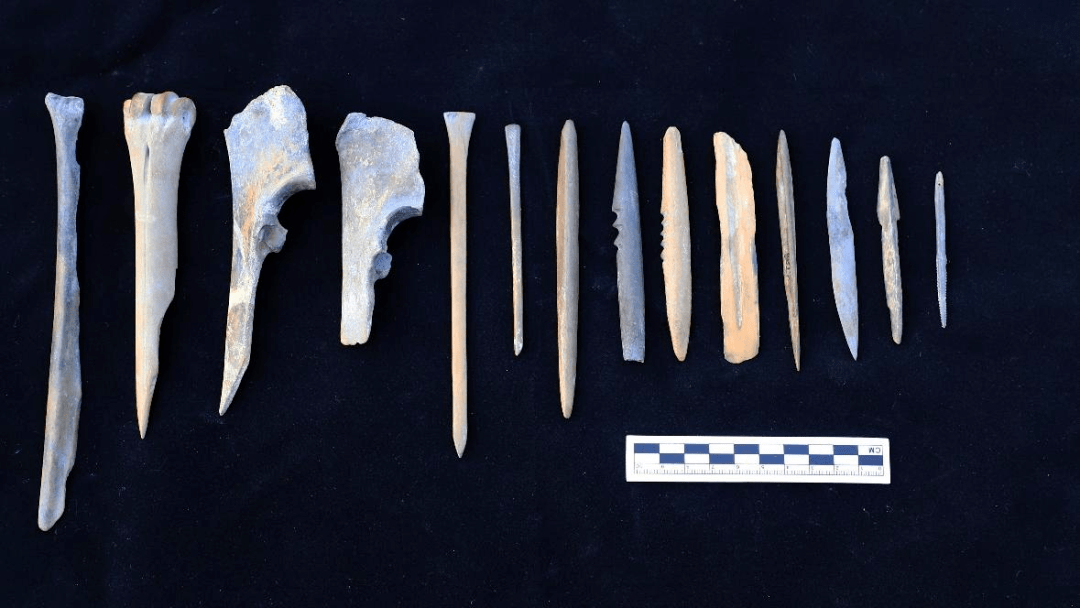 8000年前的生活什么样浙江首次发现史前贝丘遗址早于河姆渡文化1000多