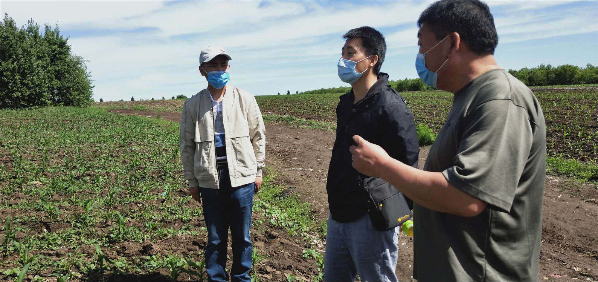 首先,东北农业大学玉米专家李显君博士到玉米种植大户高峰家实地指导