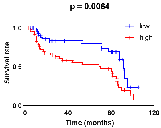 graphpad绘制生存曲线