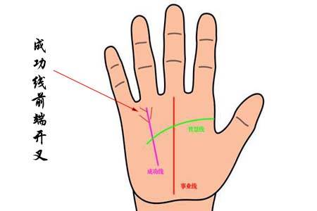 如何從手掌中的成功線看運勢
