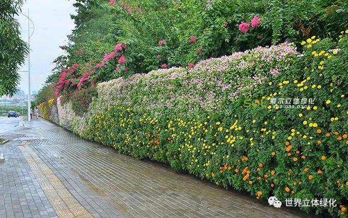 道路围挡的景观提升,是立体绿化在花园城市建设中的具体应用,也是立体