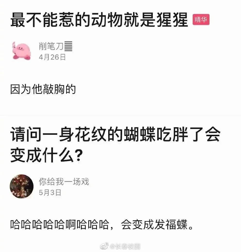 豆瓣还专门有个谐音梗小组,里面都是各种谐音梗段子.