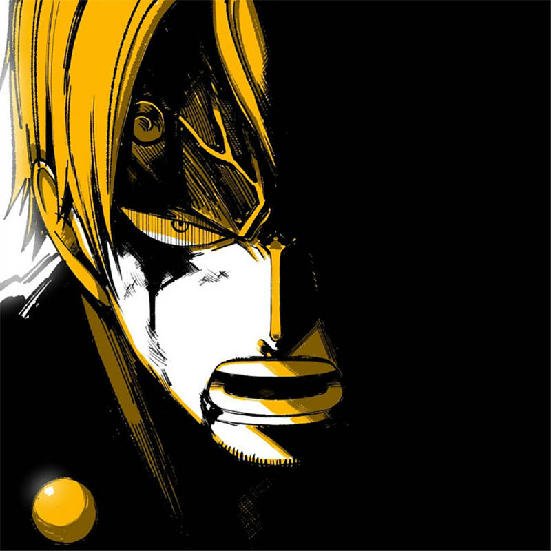 海贼王成员战斗定格画面黑色剪影又帅又酷看到艾斯就泪目