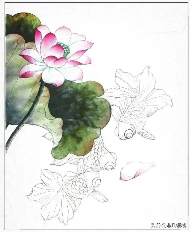 金鱼工笔画创作