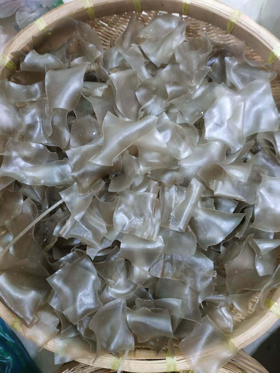 为什么空气能粉皮烘干机近期蹿红