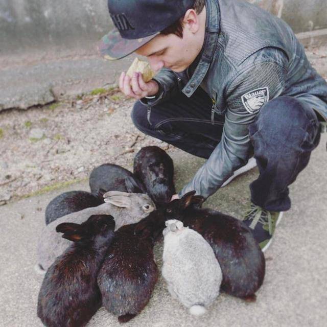 原创日本兔子岛黑暗的历史神秘和悲剧性的真相