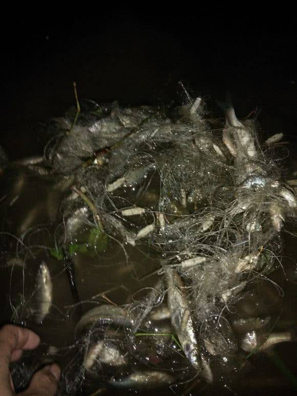 小糯米聊聊体育