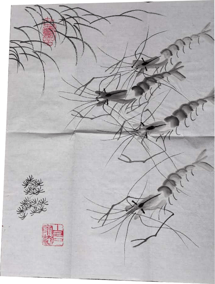 董长青虾画直多少钱图片