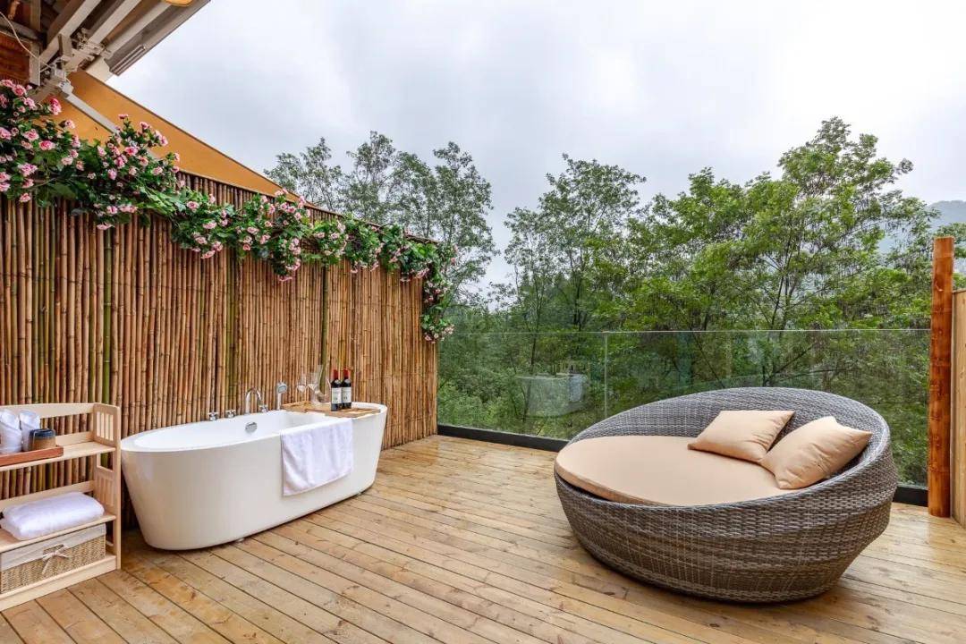 原创【青境民宿】山居岁月,林中禅意,自得清静