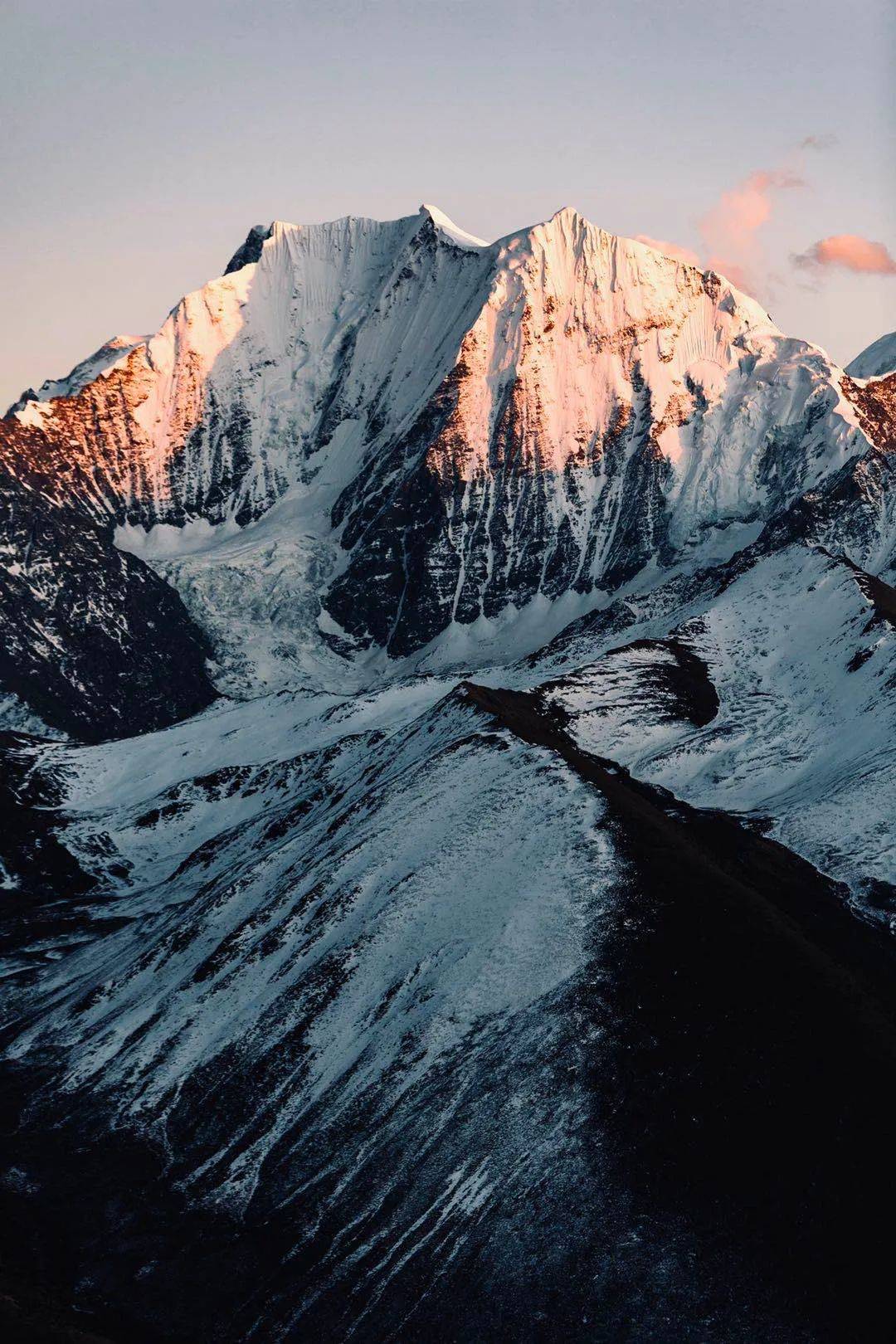 还有雪山花海的绝妙组合 | 最全川西花季时间表