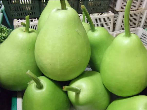 原创夏天多吃瓠瓜,有助于消暑与润肠,挑选瓠瓜就靠这三招