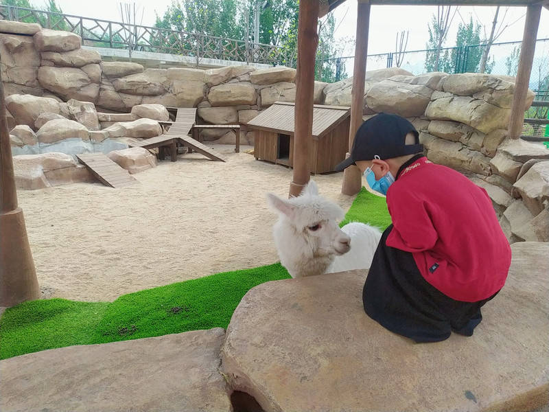 是承德首家以"亲子互动,科普教学,萌宠表演"为主题的户外乐园,总占地2